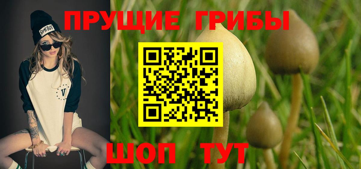 Галлюциногенные грибы Magic Shrooms  Вход с VPN  Галлюциногенные грибы ЛСД  Протвино 